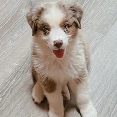 recensioni di kathryn bhagroo