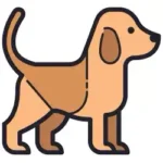 competenza eccezionale